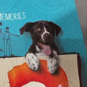 Meet your Posher, Autumn